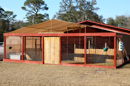 Gentle Giants Rabbitry